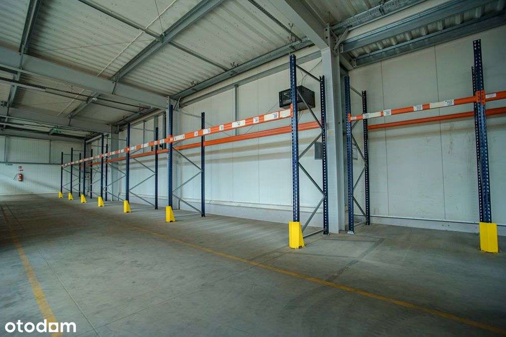 Hala magazynowo - ekspedycyjna - Janowiec Wlkp. - Pełny obrazek: 4/13