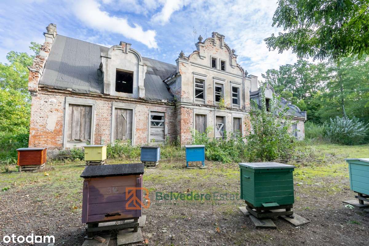 Pałac w Wopławkach z pięknym parkiem i stawem - Pełny obrazek: 4/14