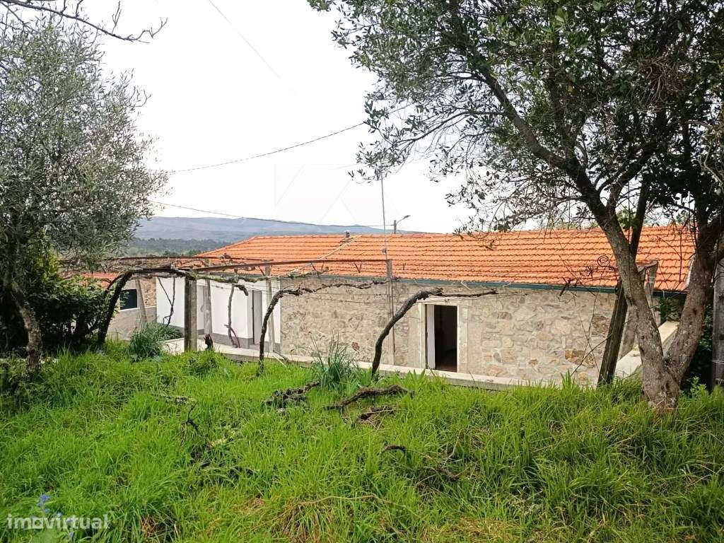 Casa antiga habitável - Grande imagem: 3/24