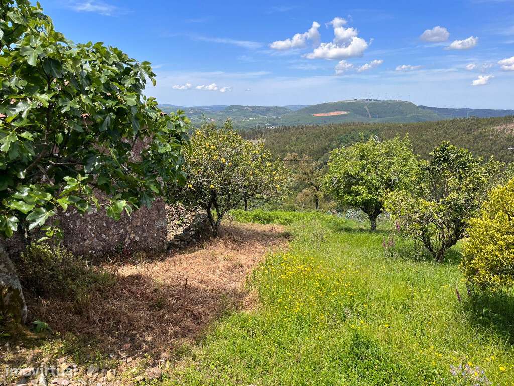 Moradia M4 com terreno em zona de  Penela-10