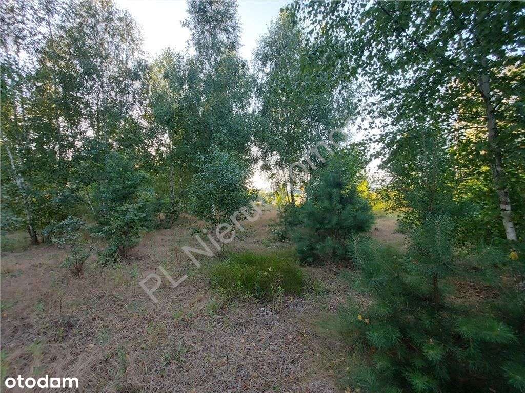 Nowa Zabudowa, Zielona Okolica. - Pełny obrazek: 5/12