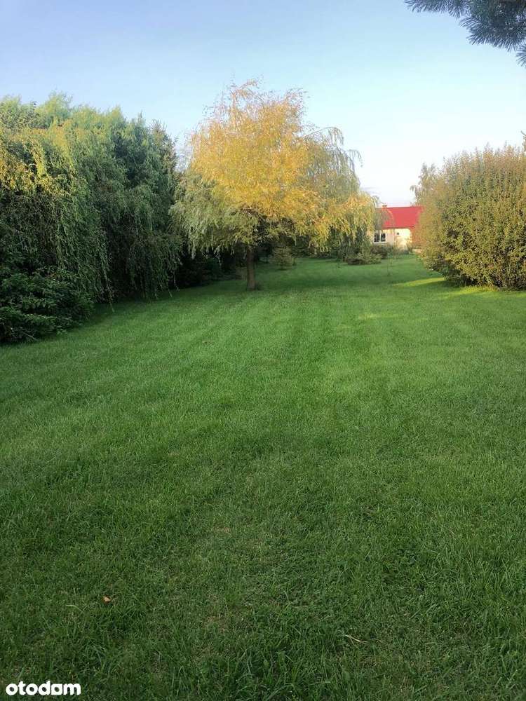 Piękne siedlisko z potencjałem w Dąbrowie 10 km od Poznania-3