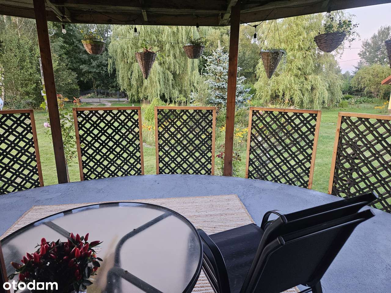 Dom + bud.gosp. z kuchnią i tarasem 12km od Suwałk, działka 5200m2 - Pełny obrazek: 2/20