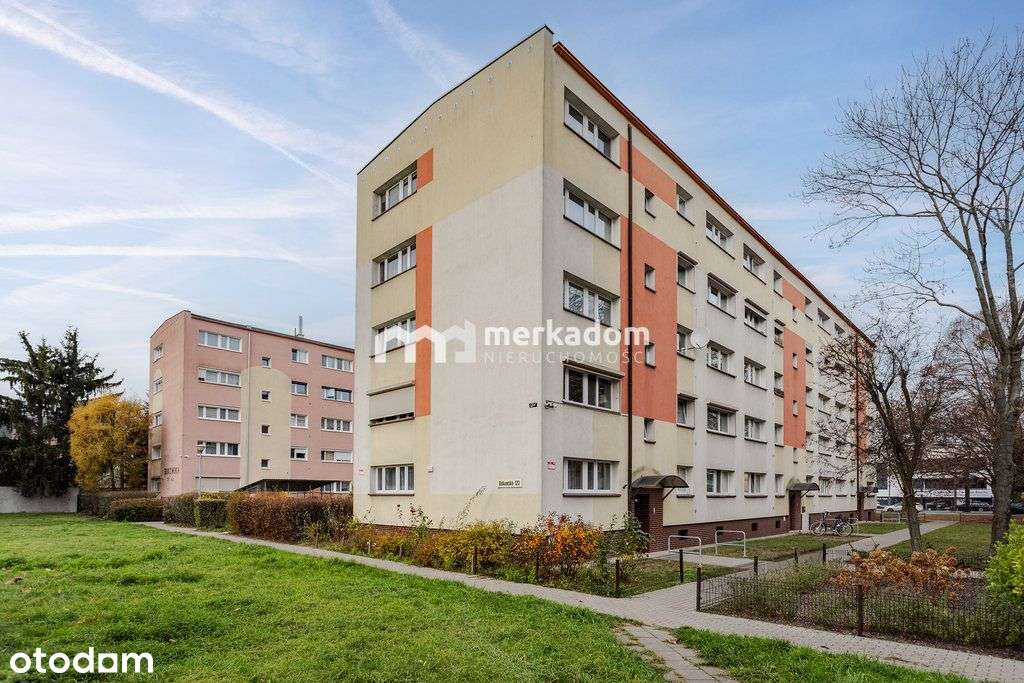 —Grunwald—2 pokoje—do remontu— - Pełny obrazek: 2/11