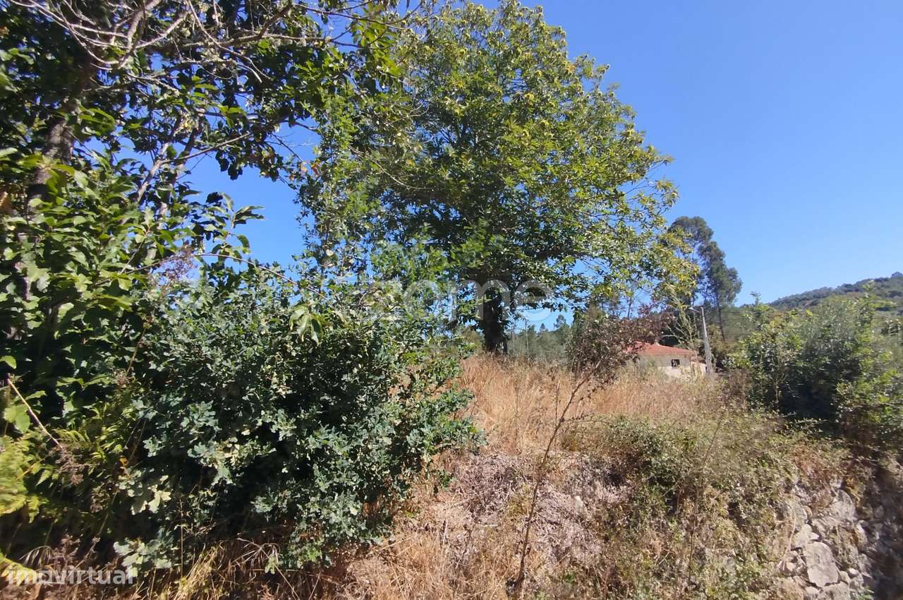 Dois erreno Corvos-Á-Nogueira / Praia Fluvial - Grande imagem: 4/46