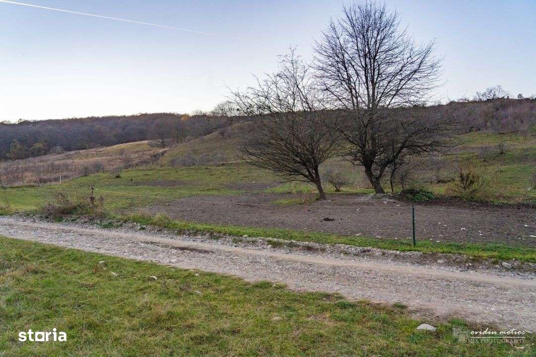 Teren investitii Valea Garbaului, CF+CU - Imagine principală: 2/7