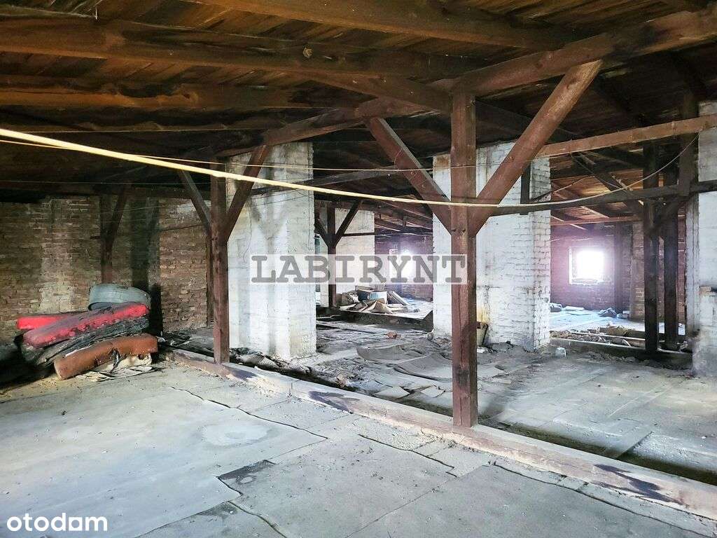 Centrum, wysoki strych, 247m2, 5 m. parkingowych*-5