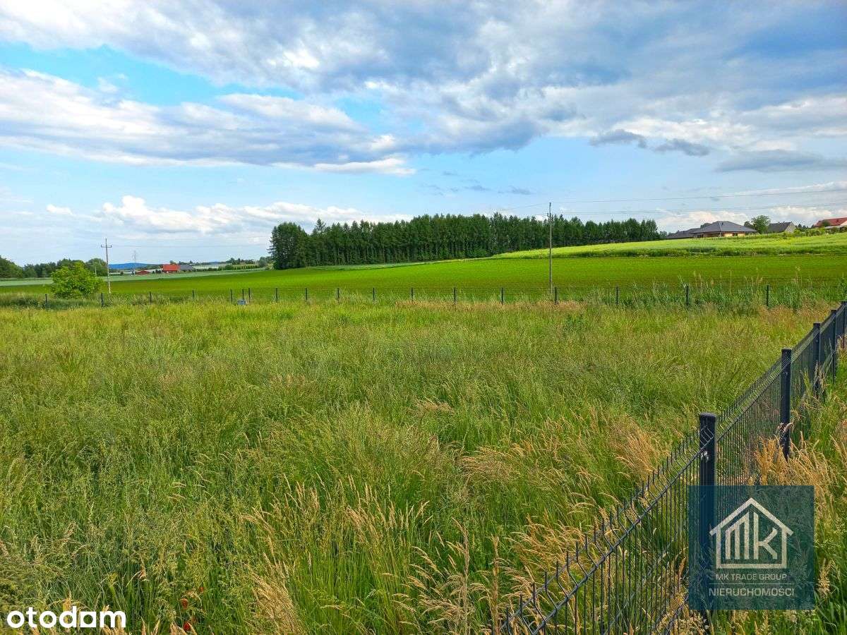 Dąbrowa gm. Kłaj - działka 10ar - 31x31 m - Pełny obrazek: 4/7