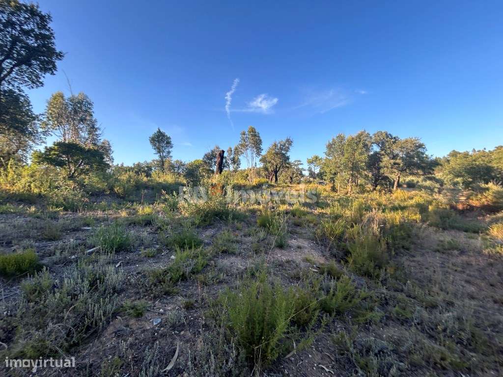 Terreno rústico com 1320m2 - Agroal, Tomar - Grande imagem: 2/5