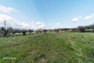 Terreno para Construção / Fundão, Aldeia Nova - Grande imagem: 5/11