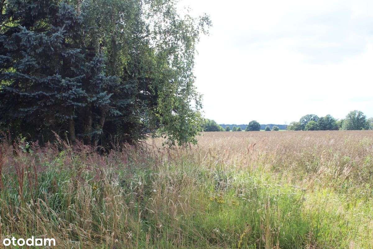 Ziemia orna z potencjałem-2