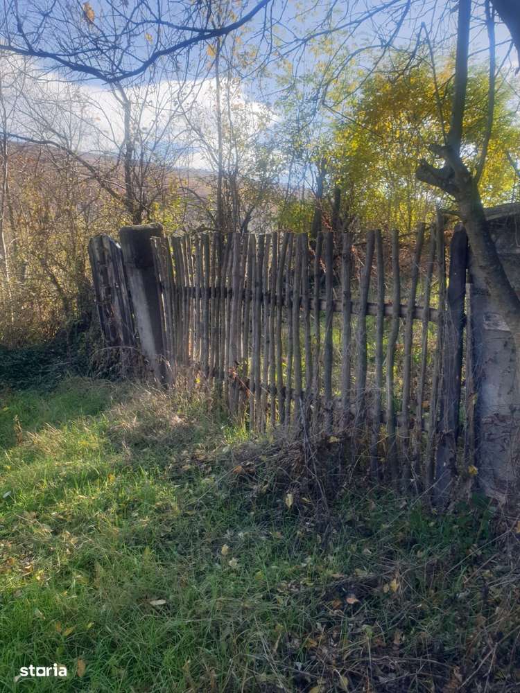 Teren intravilan și extravilan  4000mp, zona de deal,  jud Buzau - Imagine principală: 4/11