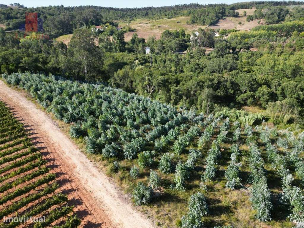 Terreno para agricultura em Vidais - Grande imagem: 3/9