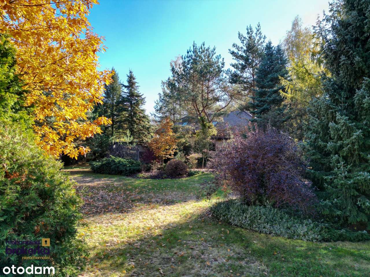 Parterowa willa z furtką do lasu | 35minut od Warszawy-19