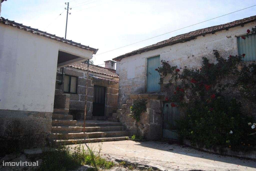 Magnifica quinta situada em Amarante - Grande imagem: 5/16