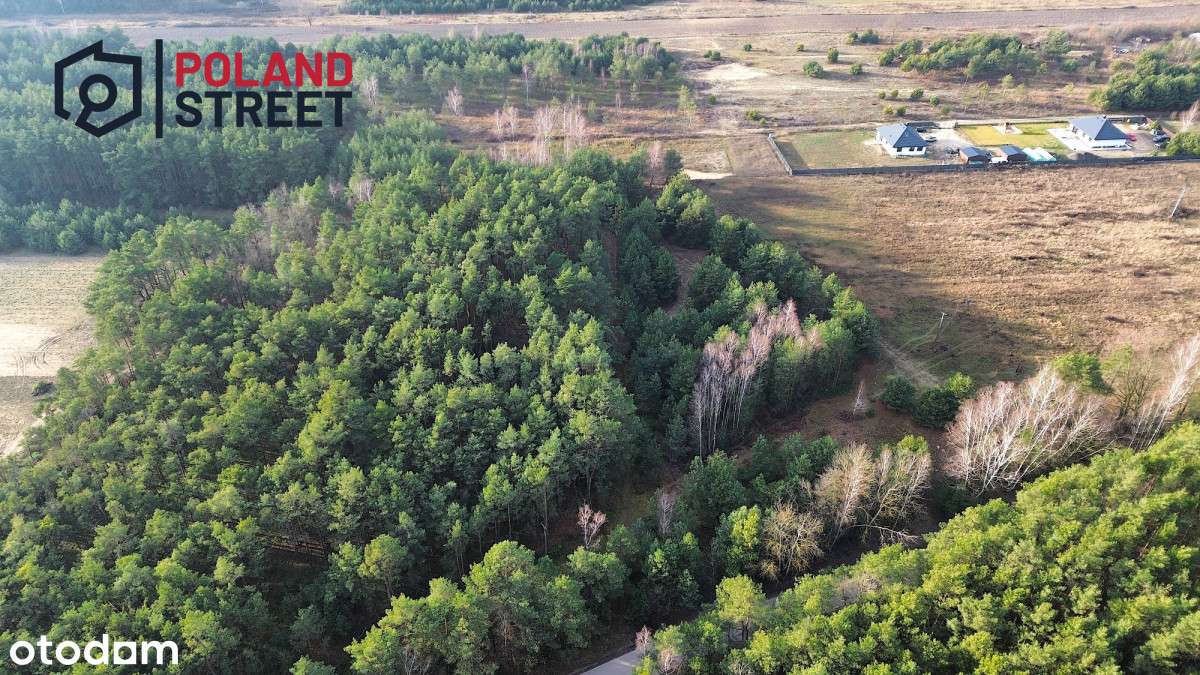 Duża i urokliwa działka 25 min od  Warszawy-2