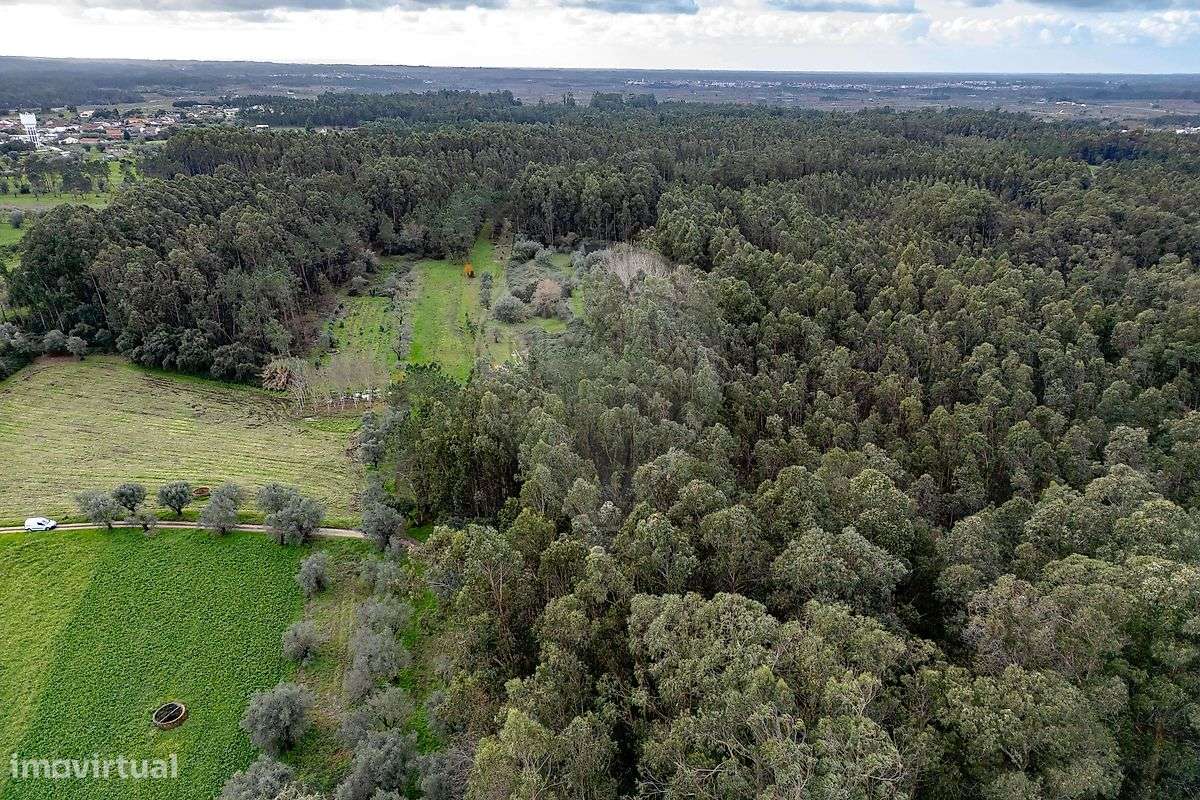 Terreno  para venda - Grande imagem: 5/14