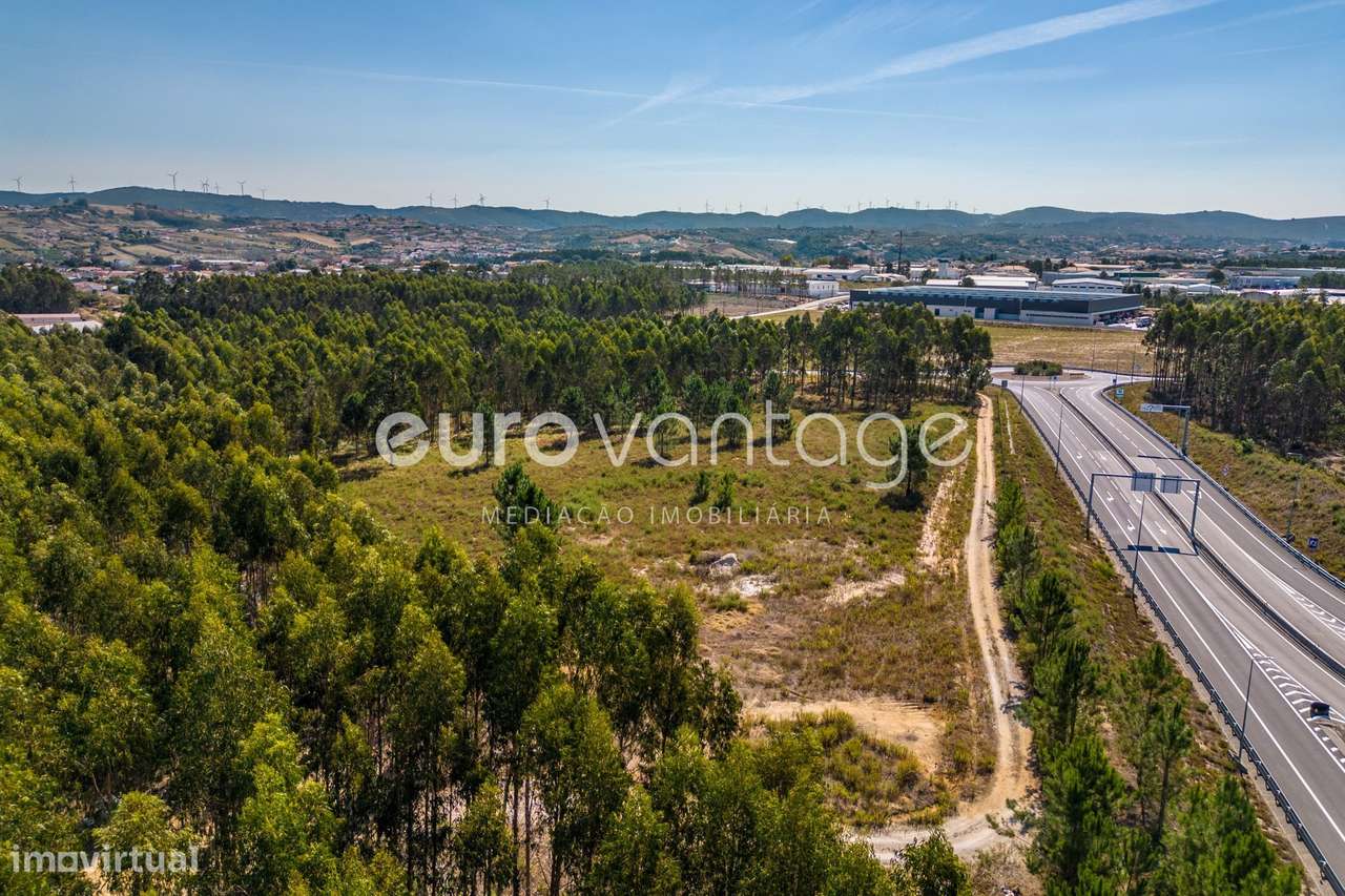 Terreno Industrial em Jardoeira - Batalha - Grande imagem: 2/25