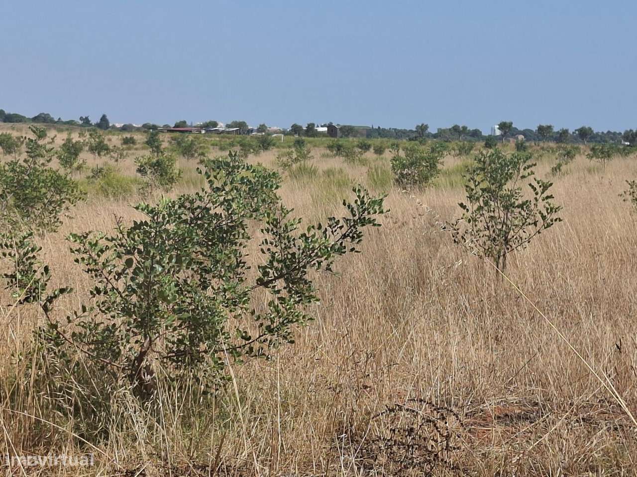 Propriedade agrícola com 78.640 m2 em Vale da Lama, Odiáxere.-16