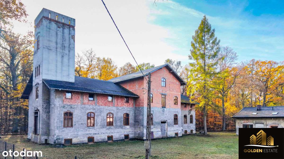 Historyczny pałac na sprzedaż! - Pełny obrazek: 5/20