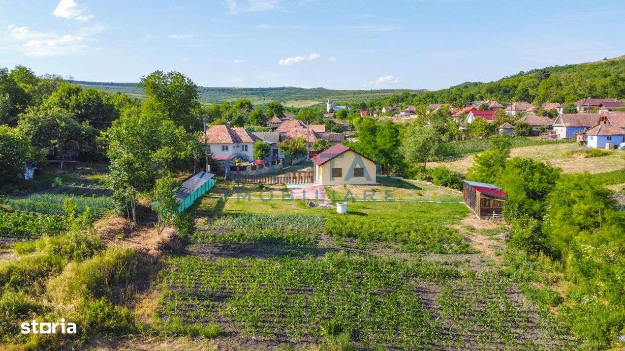 Casa cu teren de 3100 mp de vanzare in comuna Cornesti - Imagine principală: 2/16