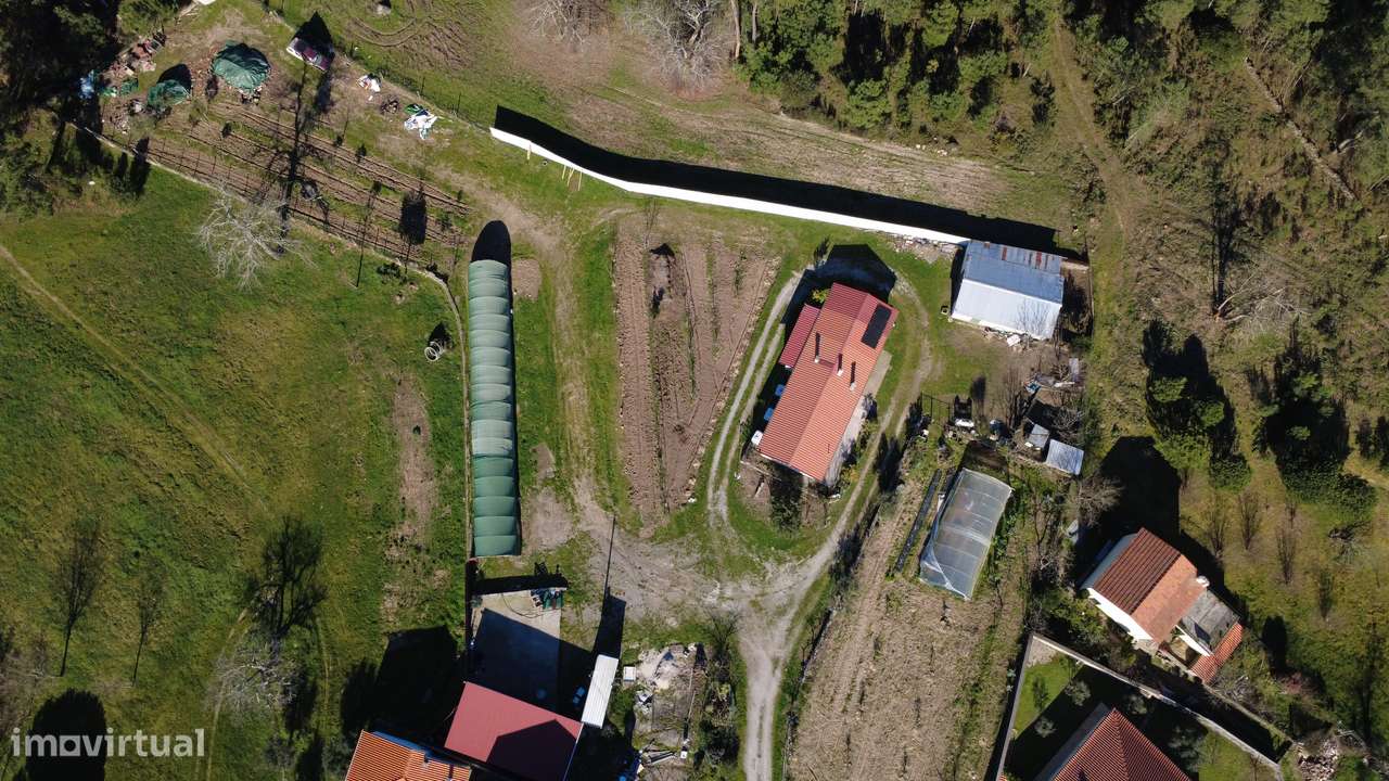 Quinta com Moradia T2 | Fornos de Algodres-18