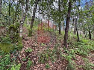 Terreno Florestal, Sande