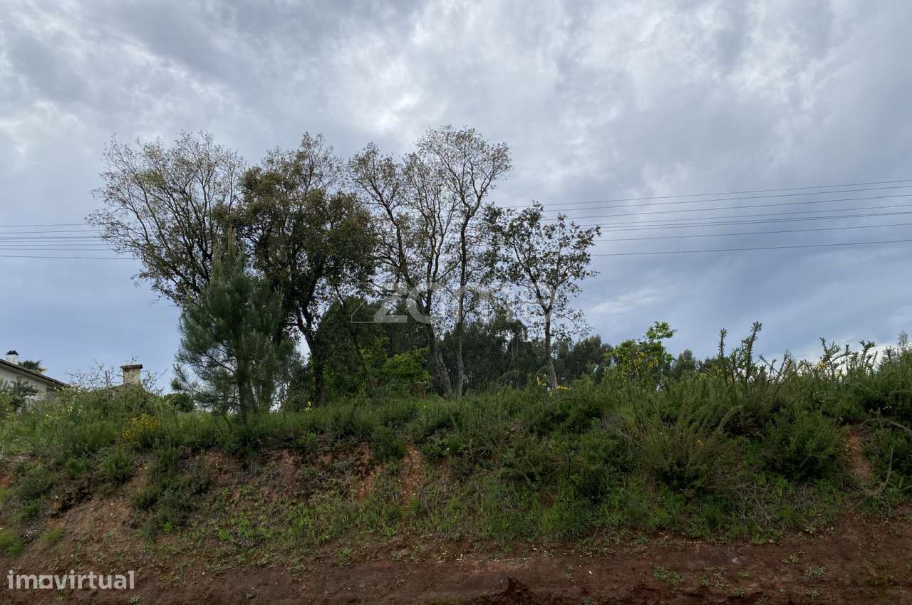 Terreno para Construção | Com 8800m2 - Grande imagem: 3/22