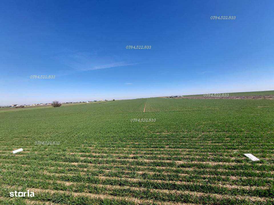 Investește sigur în pământ! Nu se mai fabrică – Berceni Ilfov - Imagine principală: 4/6