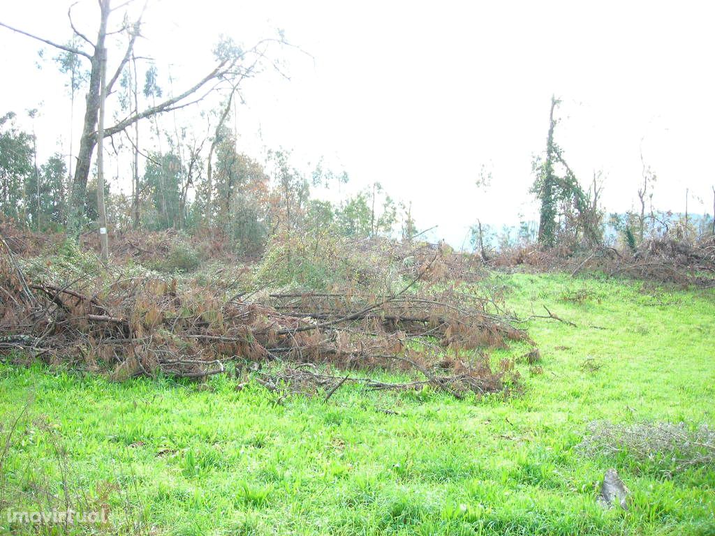 Terreno  Venda em Cabreiros e Passos (São Julião),Braga