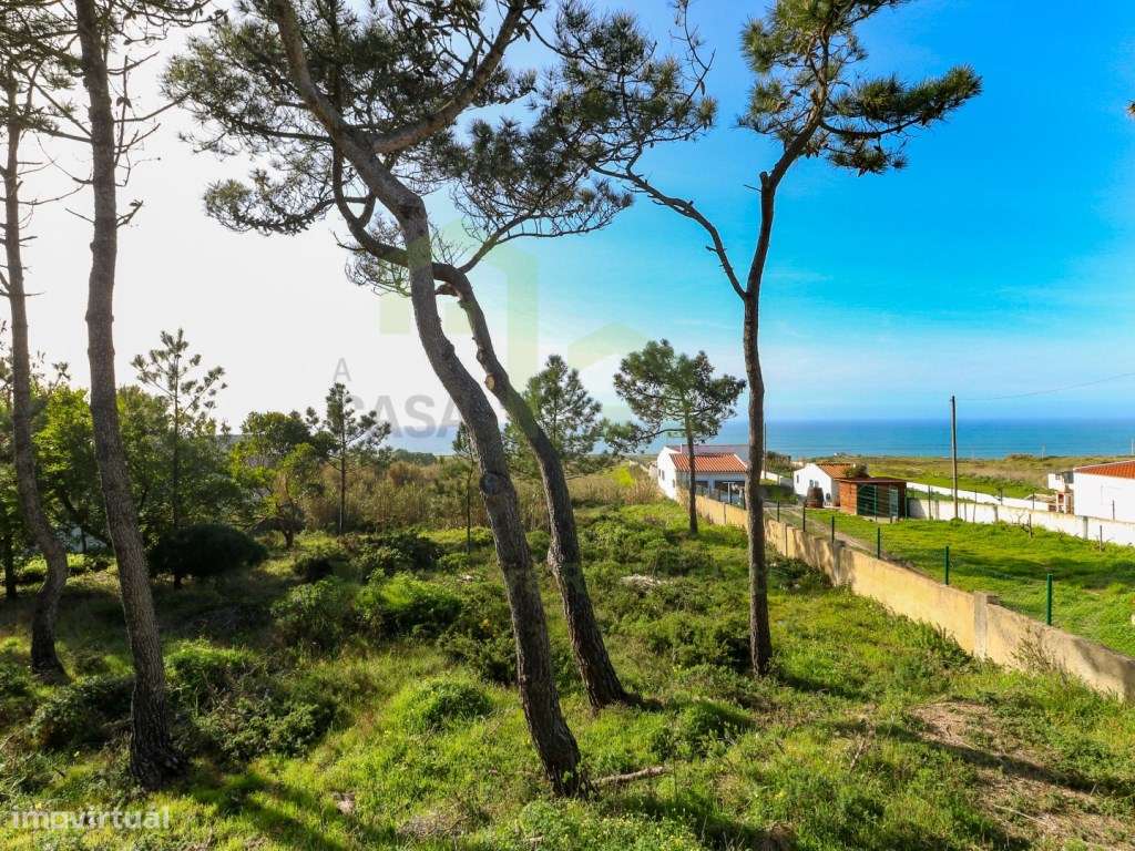 Terreno - Ericeira 11 km, A Casa das Casas - Grande imagem: 5/8