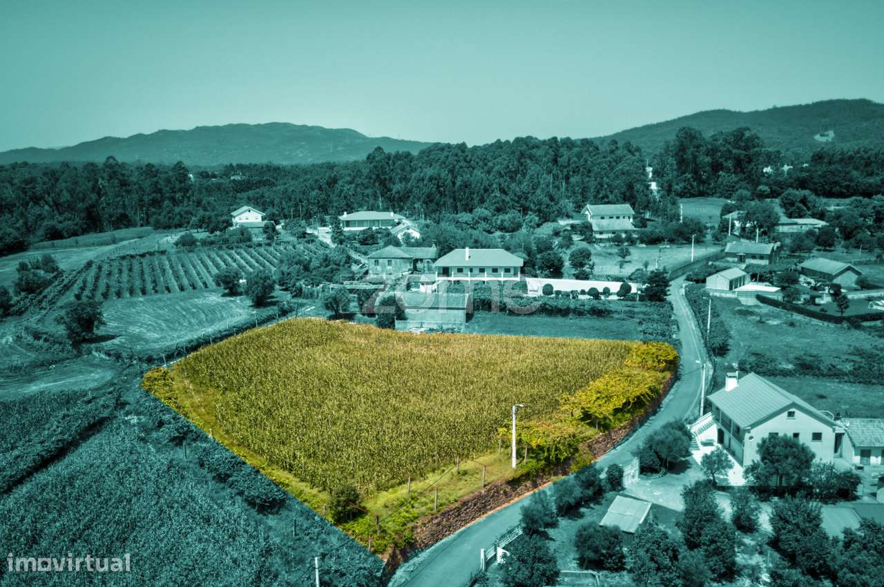 Terreno Rustico com 9000m2 colm viabilidade construtiva - Grande imagem: 4/13