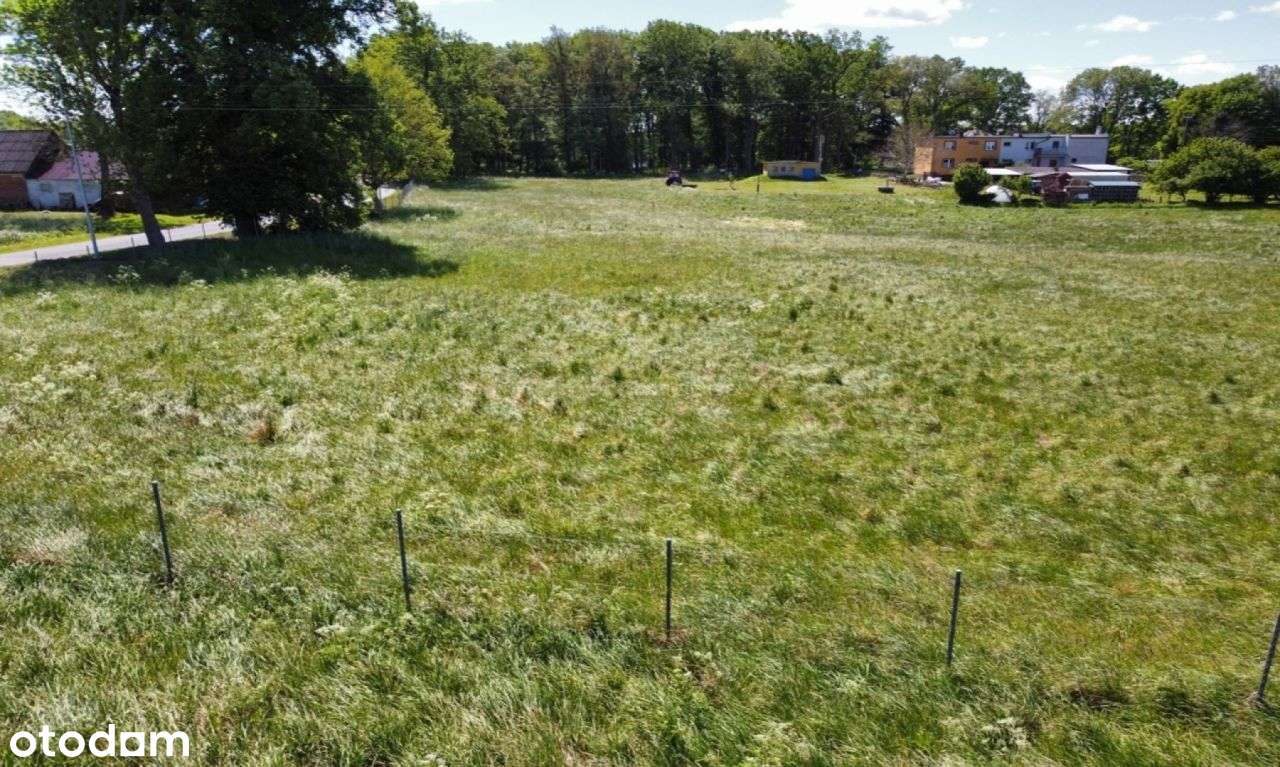 Żychce - działka budowlana z warunkami zabudowy. - Pełny obrazek: 5/15