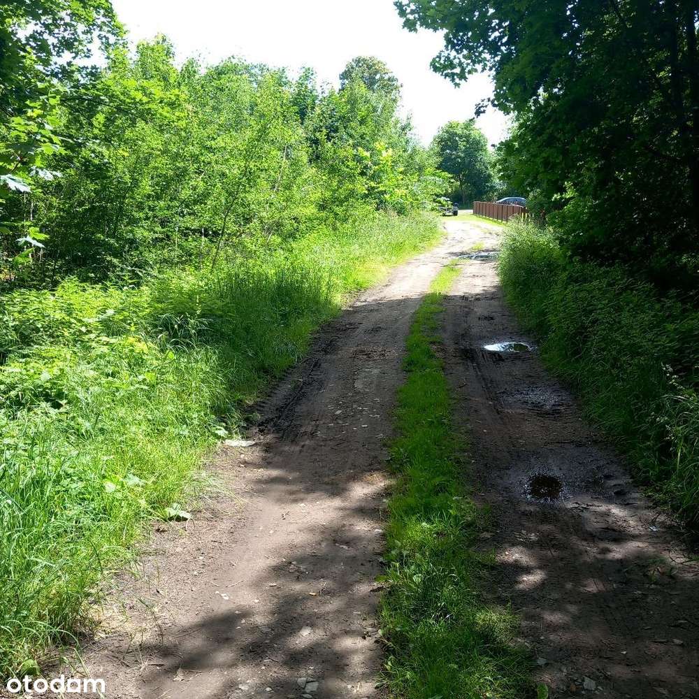 Działki 4km od miasta z kompl. mediów i utw. drogą - Pełny obrazek: 5/12