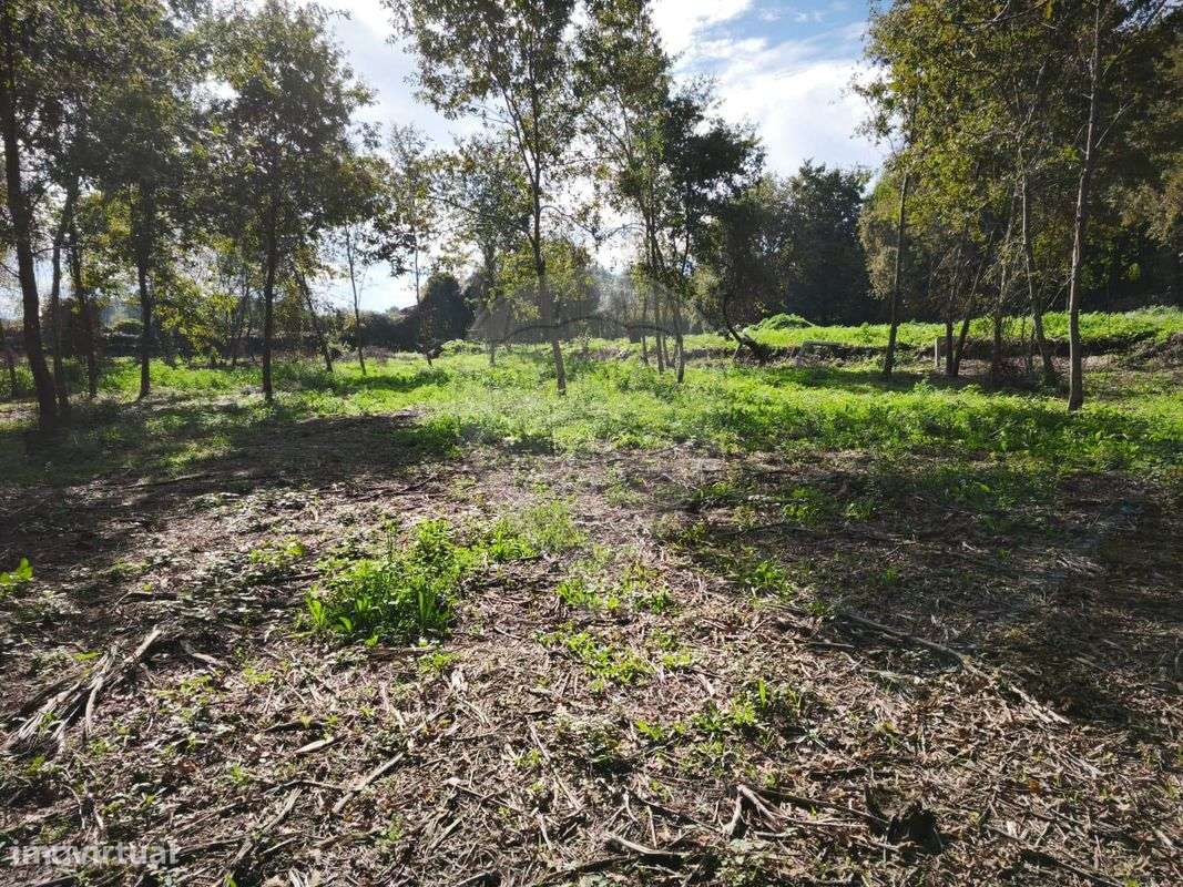 Quinta T0 para venda - Grande imagem: 2/19