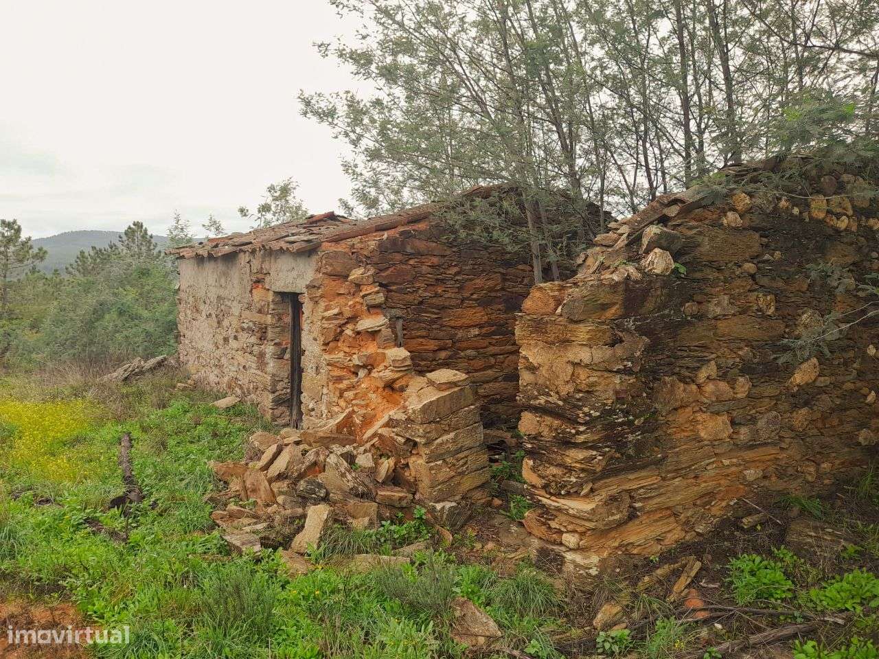 Quinta - Grande imagem: 2/12