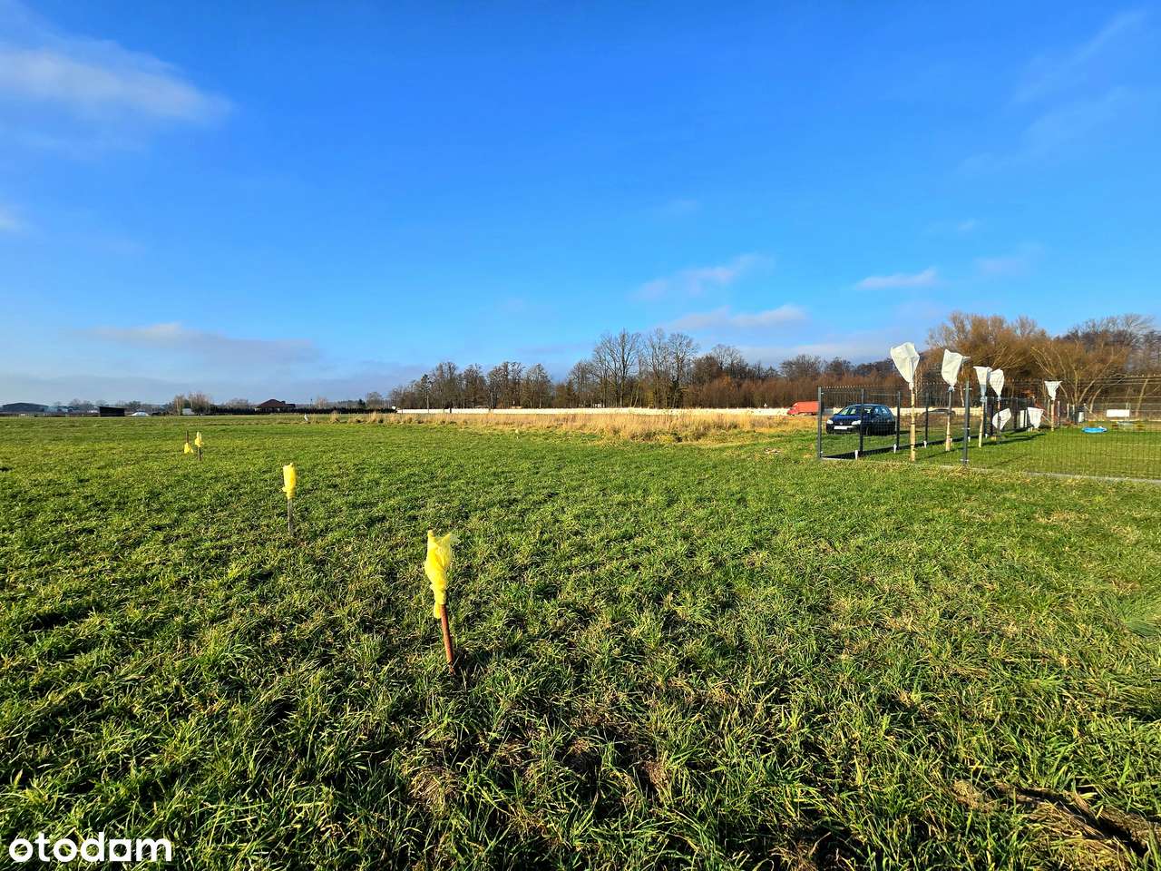 Działki budowlane 900 m2 z WZ | Trzcianna, 9 km do Skierniewic-12