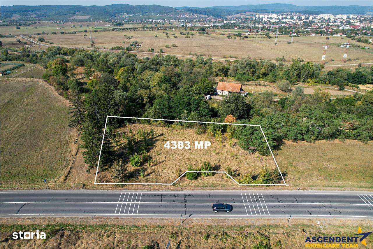 FILM!Teritoriu Versatil:4.383 mp intravilan, deschidere  la drum natio - Imagine principală: 4/8