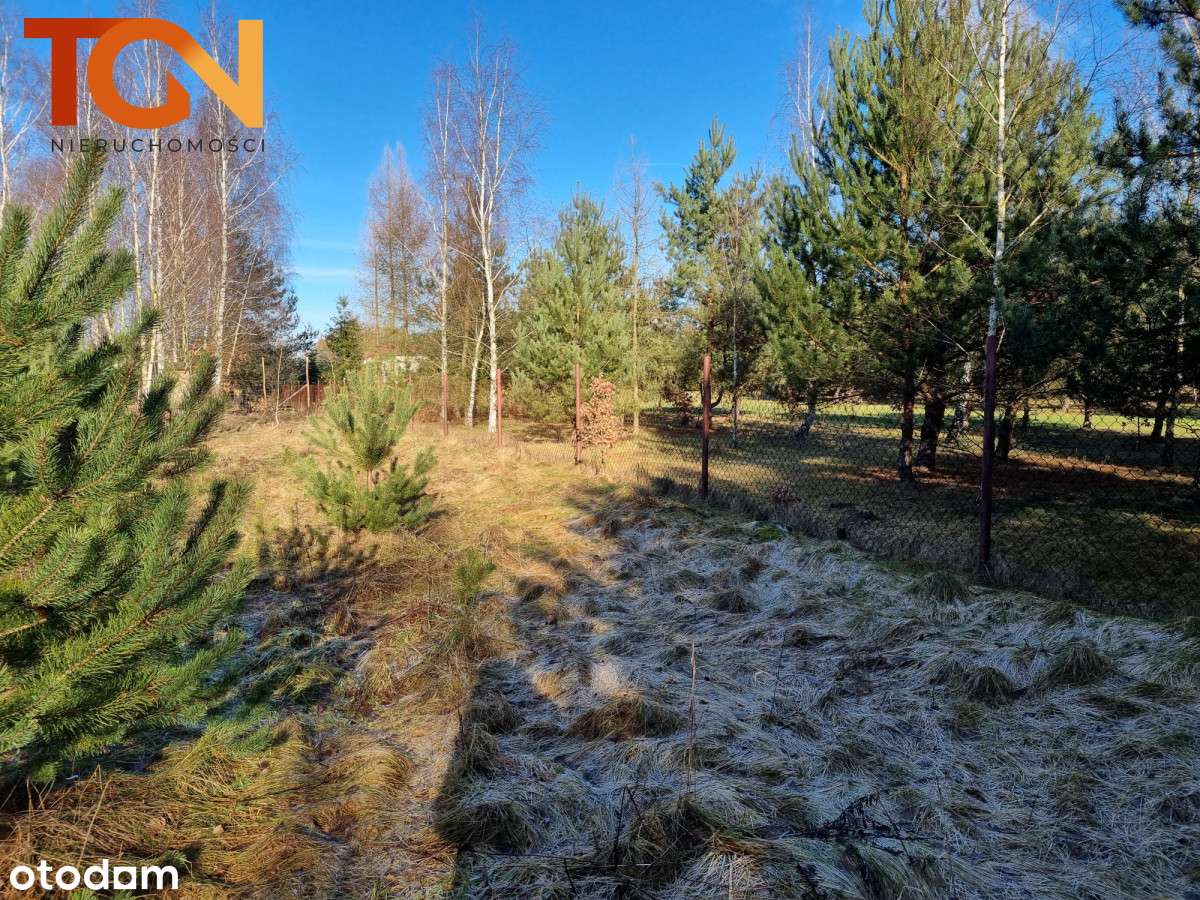 Działka o pow.2383m2- Łódż/Górna - Pełny obrazek: 2/4