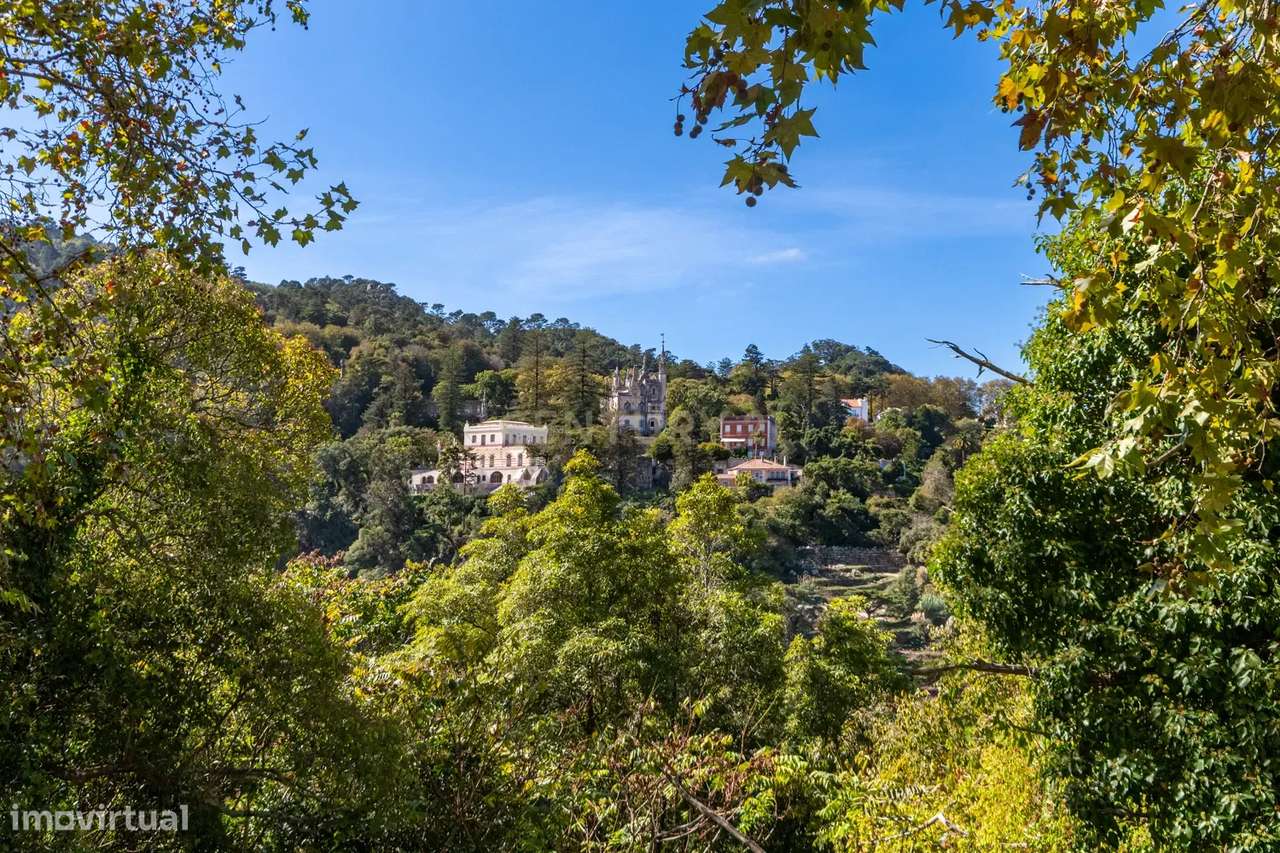 Hotel de 4 Estrelas com Projeto Aprovado e Mobilidade Única na Vila de-13