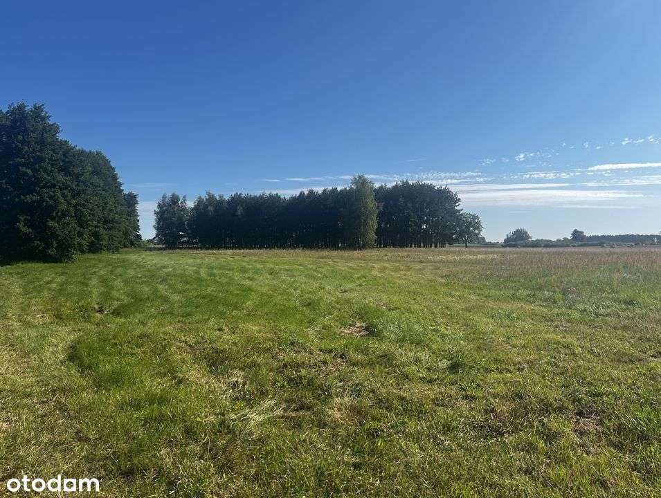 [Działka 843 m2, budowlana - Trzęśniew Mały] - Pełny obrazek: 5/7