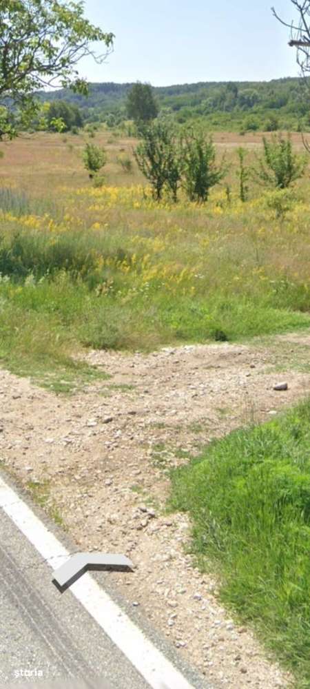 Teren de vânzare de 5777 mp, amplasare excelentă-1