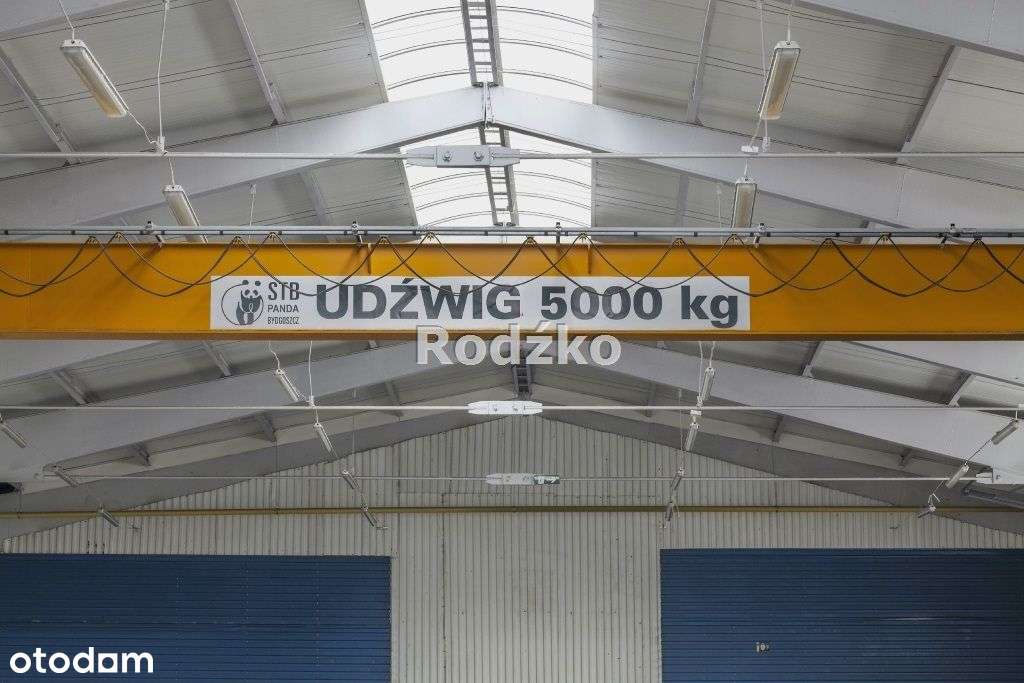 Hala o wysokim standardzie. - Pełny obrazek: 4/18