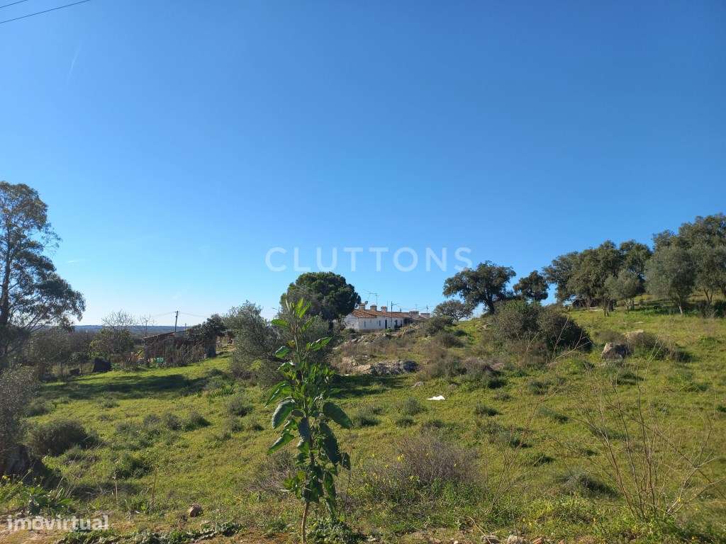 Terreno - Quinta, Investimento, 12 hectares e 844 m2 edificados, Évora-23