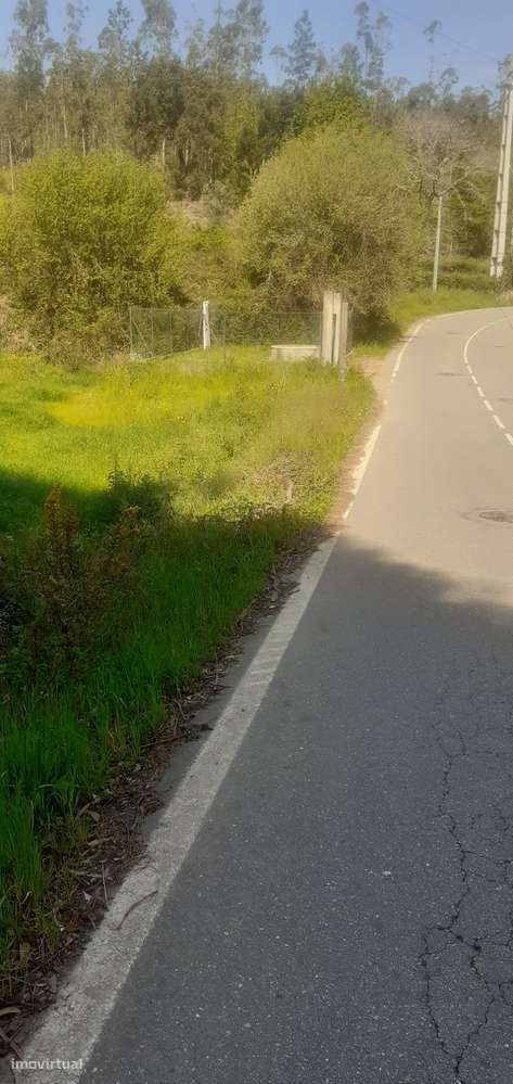 Terreno rústico para cultura em Canedo - Grande imagem: 5/8