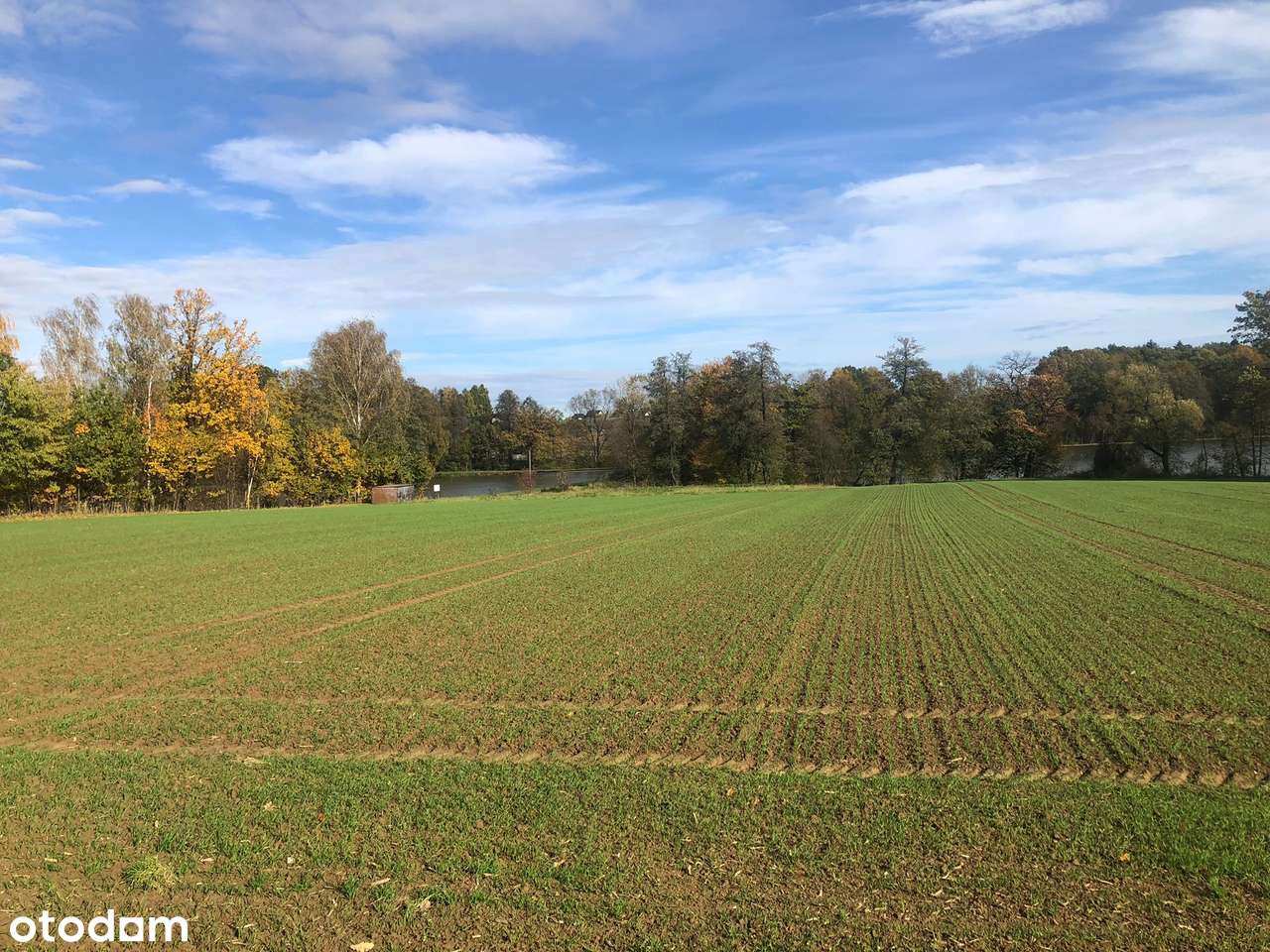 3 działki budowlane – Stara Wieś k. Wilamowic – 140 zł/m² - Pełny obrazek: 5/8