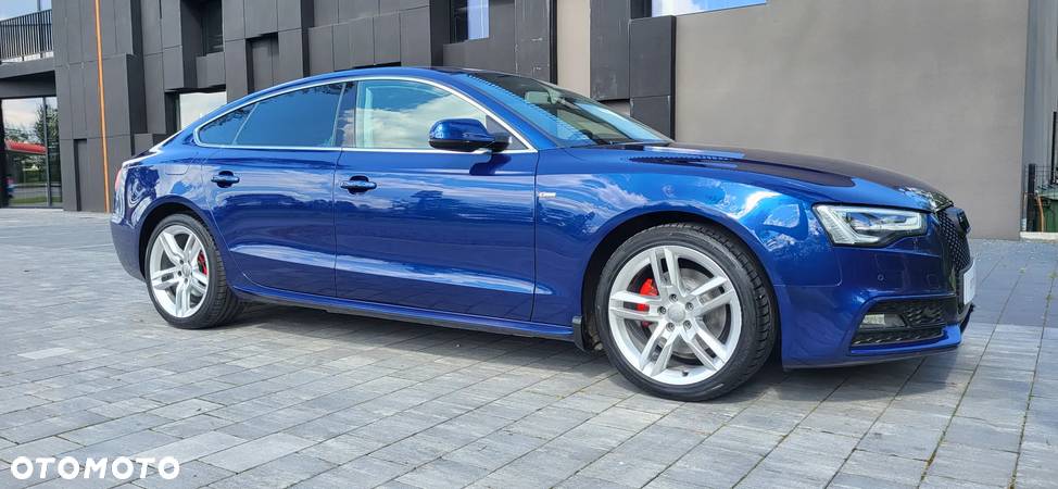 Audi A5 2.0 TDI Sportback (clean diesel) quattro DPF - 17