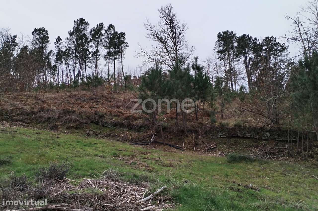 Terreno agricola e florestal.-8