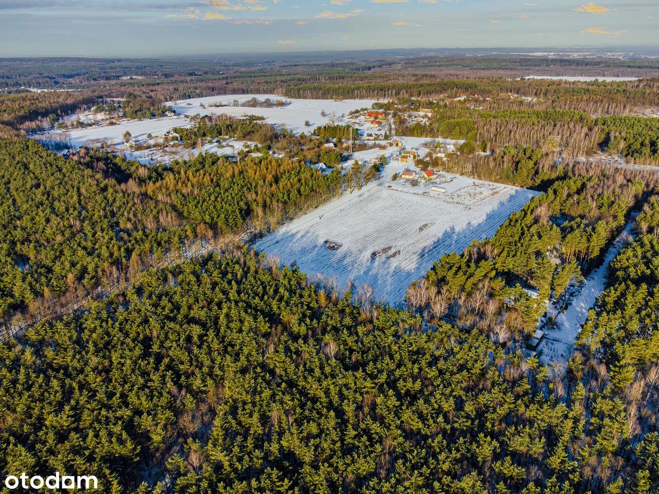 w lesie | nasłoneczniona | woda na działce-0