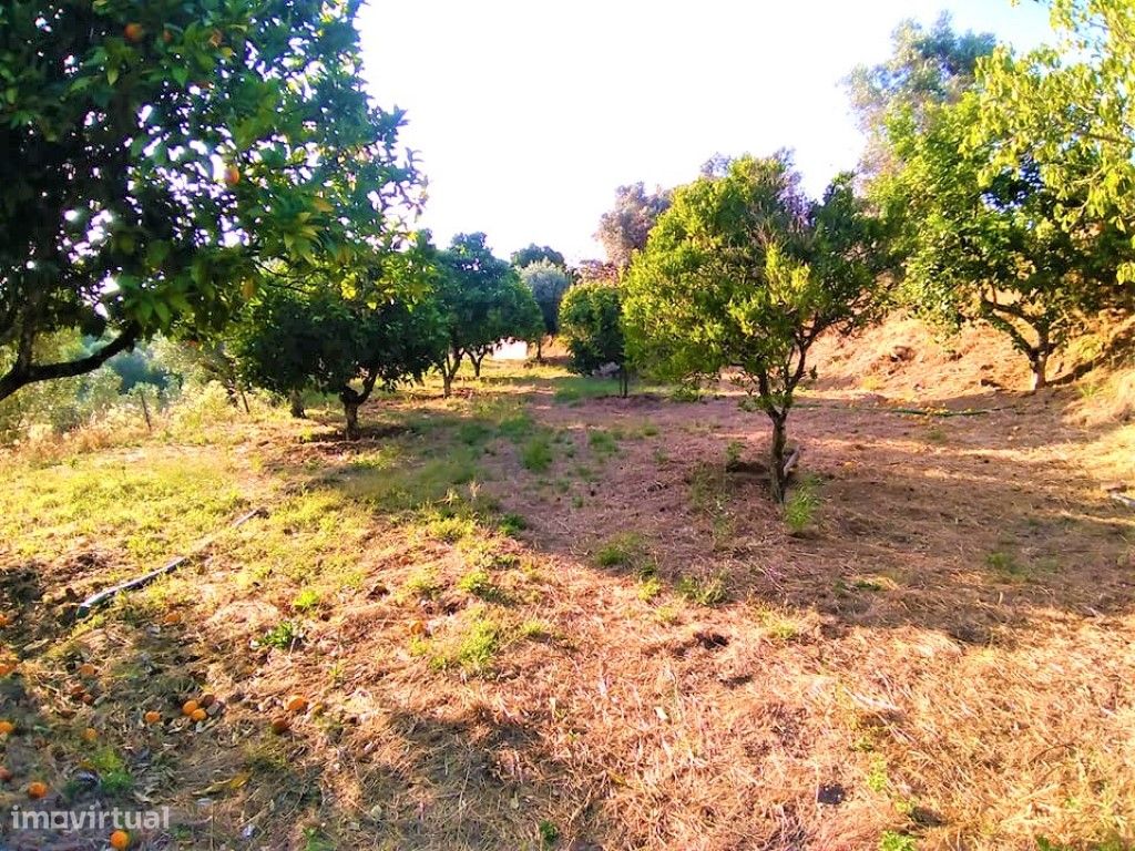 Terreno Urbano - Grande imagem: 1/5